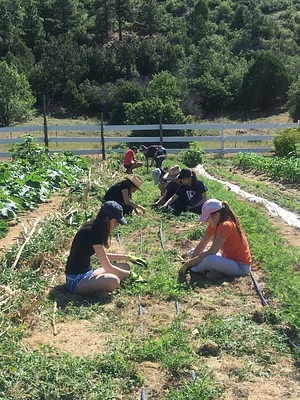 Agroecology at UWC 6