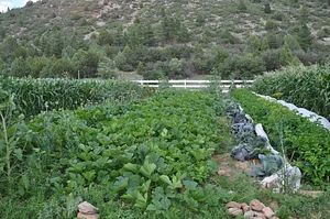 Agroecology at UWC 9
