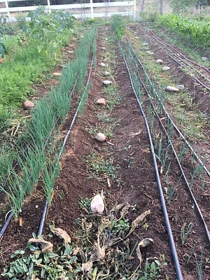 Agroecology at UWC 14