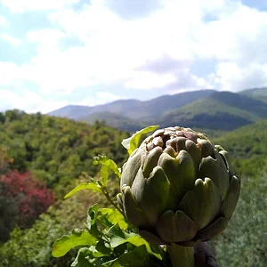 Agroecologia alla Mini Fattoria 14