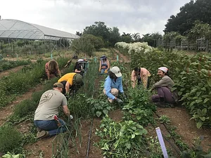 UC Santa Cruz Center for Agroecology Farm