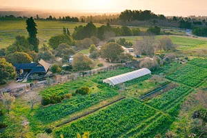 UC Santa Cruz Center for Agroecology Farm