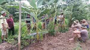 Growing Roots Permaculture Experiences 6