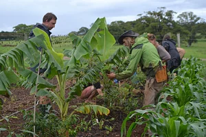 Growing Roots Permaculture Experiences 7