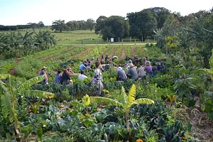 Growing Roots Permaculture Experiences 8
