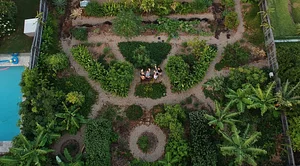 Growing Roots Permaculture Experiences 14