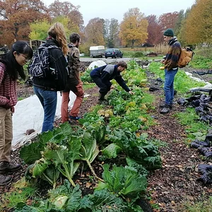 Learning and exploring Agroecology through doing