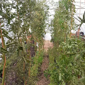 Agroecology Garden in Bennekom