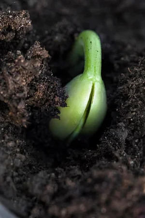 Permaculture du Bec Hellouin