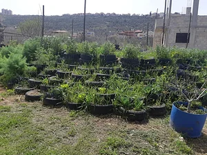Marda Permaculture Farm