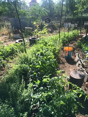 Marda Permaculture Farm