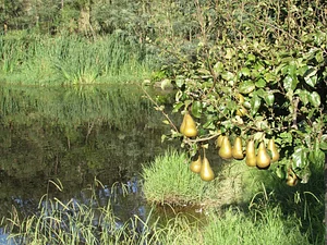 Gardenfarm Permaculture