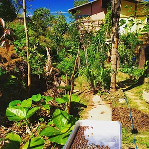 Horta do Sítio Nós na Teia 1