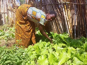 Sustainable Agriculture Tanzania Experiences