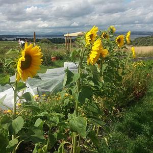 Edinburgh Agroecology Coop