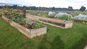 Lauriston Farm Urban Farm