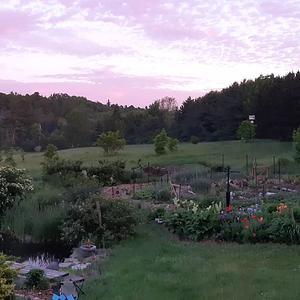 Arcadia Permaculture Farm