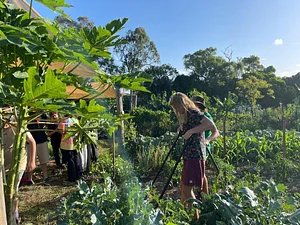 High Valley Dawn Permaculture Farm Yeppoon