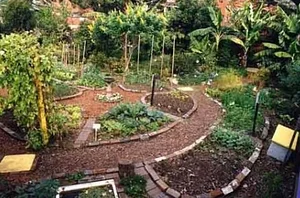 High Valley Dawn Permaculture Farm Yeppoon