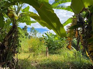 Sahainan Permaculture Organic Farm