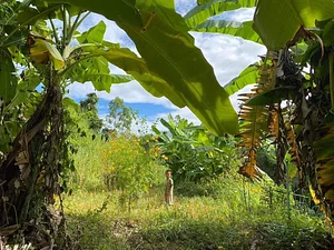Sahainan Permaculture Organic Farm