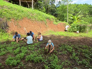 Sahainan Permaculture Organic Farm