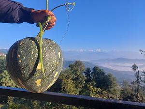 HASERA Permaculture Learning Center