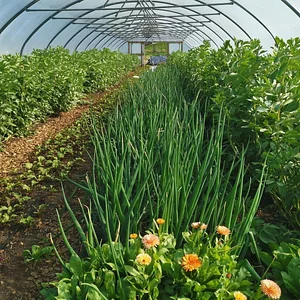 East Neuk Market Garden