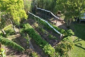 Limestone Permaculture Farm