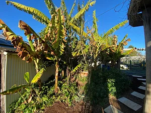 Limestone Permaculture Farm