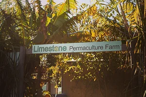Limestone Permaculture Farm