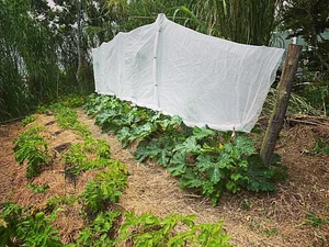 Limestone Permaculture Farm