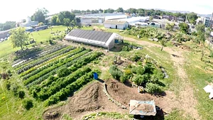 Krishna Food Forest & Farm