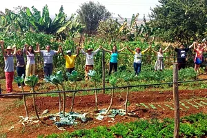 Horta Orgânica Comunitária Girassol
