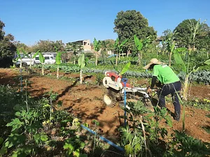 Horta Orgânica Comunitária Girassol
