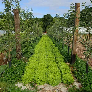 Ferme de La Grande Rivière