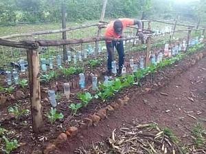 Shagala Organic Permaculture Farm