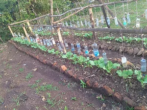 Shagala Organic Permaculture Farm