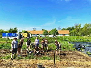 Los Perros Urban Farming