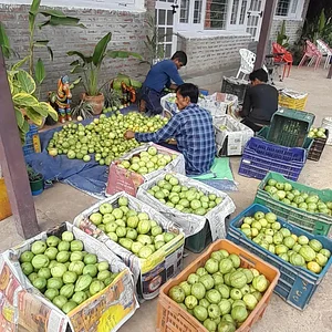Forest Side Farm