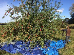 Ragmans Lane Farm