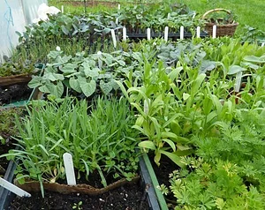 Ragmans Lane Farm