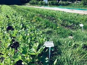 Cloughjordan Community Farm