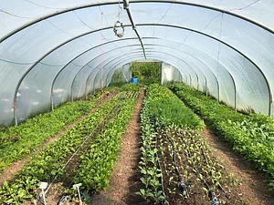 Cloughjordan Community Farm