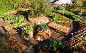 Syntropic Farming at La Loma Viva