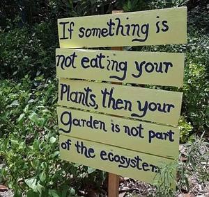 Kaswanga