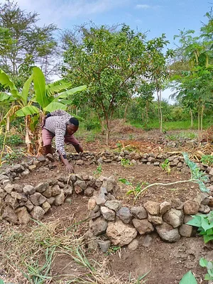 Kaswanga Permaculture and Syntropic Agroforestry Project