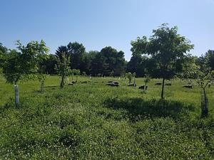 Hundred Fruit Farm