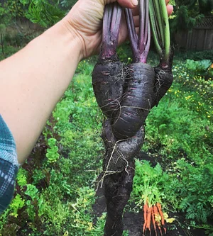 Watercliff Permaculture Farm