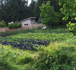 Watercliff Permaculture Farm